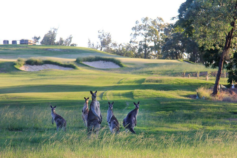 Riverside Oaks Golf Resort Cattai Esterno foto