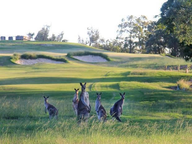 Riverside Oaks Golf Resort Cattai Esterno foto
